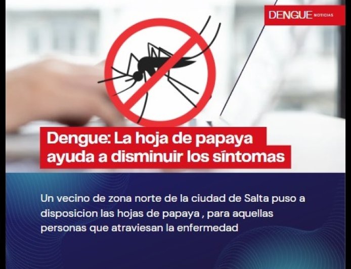 Dengue - La planta de "PAPAYA" ayuda a prevenir y disminuir los síntomas de la enfermedad